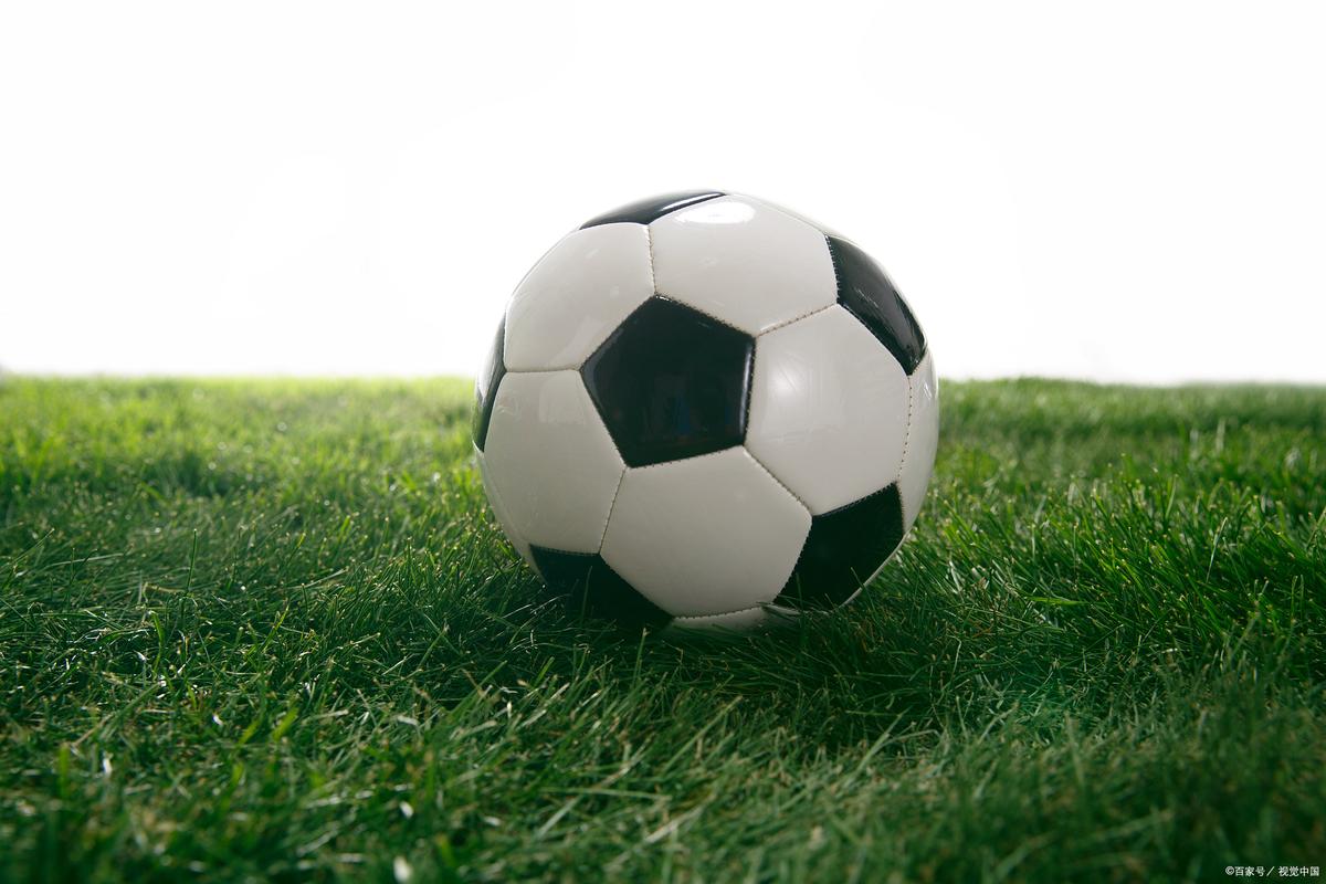 怎么做枫叶泛站群